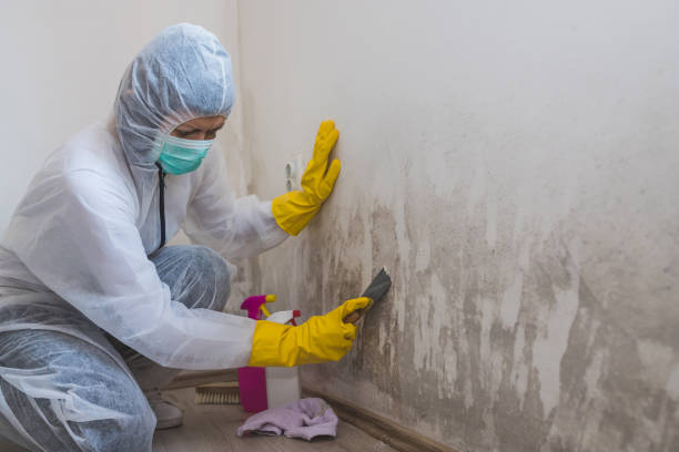 Best Emergency Mold Removal  in Fishersville, VA