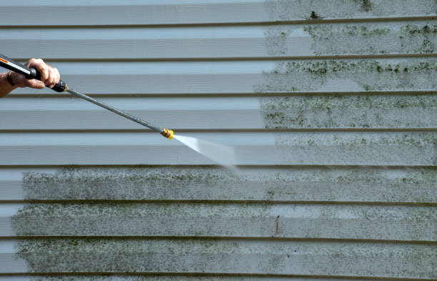 Best Professional Mold Removal  in Fishersville, VA