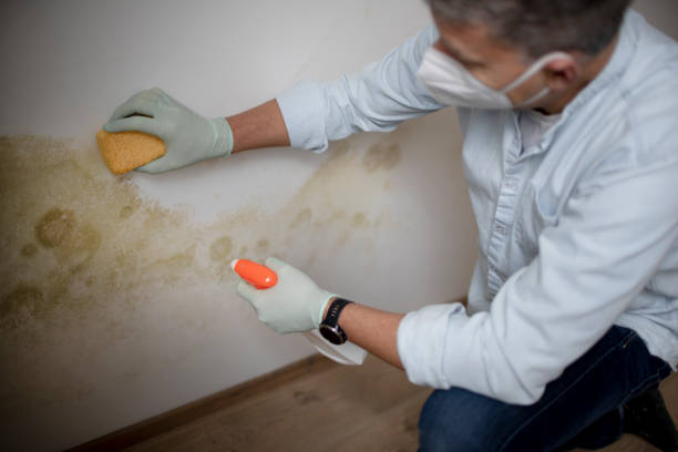 Best Water Damage Restoration  in Fishersville, VA