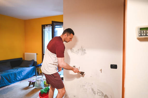 Best Crawl Space Mold Removal  in Fishersville, VA