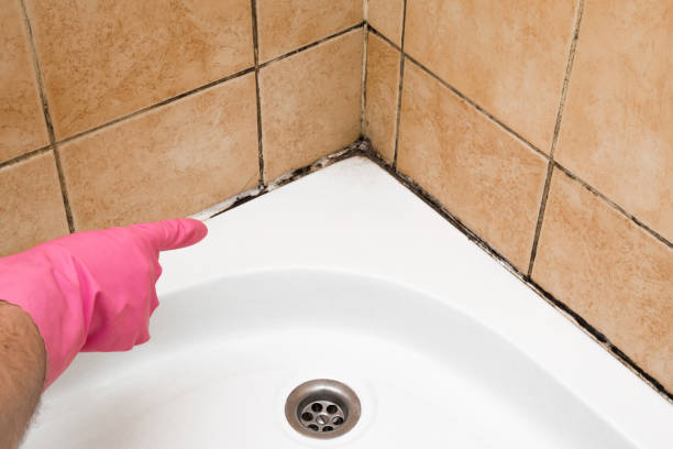 Best Certified Mold Removal  in Fishersville, VA